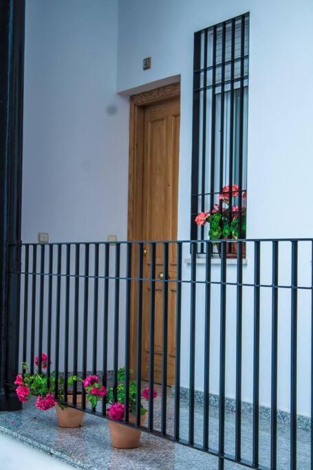 Fernando Colon En Casco Historico Appartement